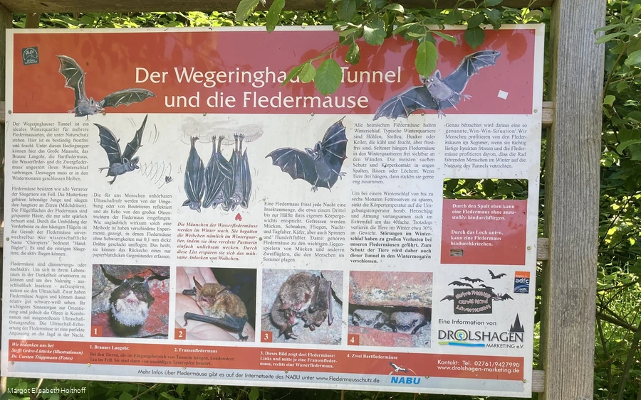 Der Wegeringhauser Tunnel und die Fledermäuse 2.jpg