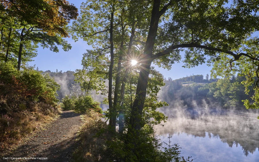 Herbstmorgen an der Jubachtalsperre