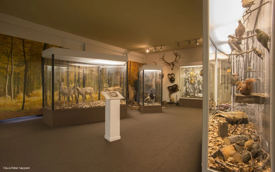 Zicht op het leisteenmijnmuseum in Holthausen