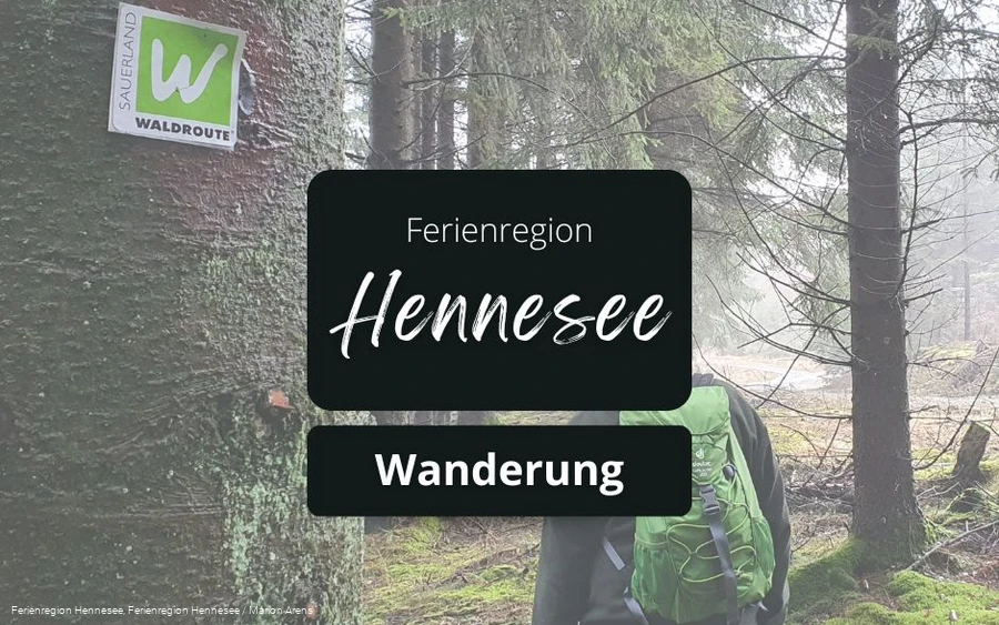 Wanderung Waldroute Sauerland
