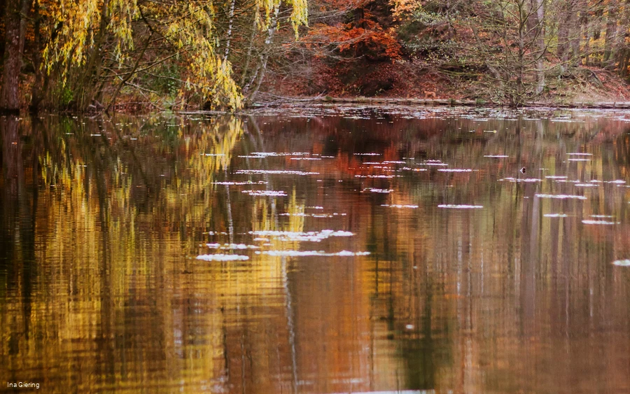 Hexenteich im Herbst
