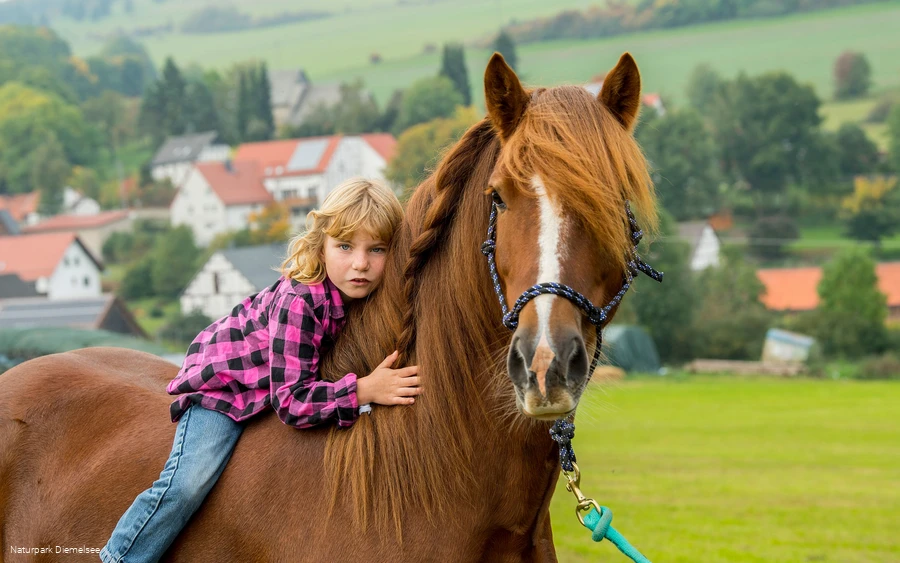 Mädchen auf einem Pferd auf dem Familienbauernhof Fass