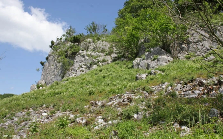Hoher Stein mit Wacholderheide