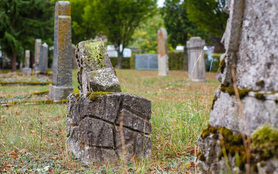 Juedischer Friedhof in Willingen-Eimelrod
