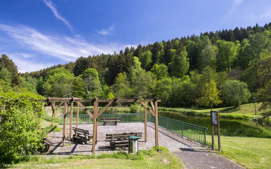FerienweltWinterberg_2018_Züschen_Bullenwiese_See_Aussichtsplattform_Wiese_Sommer_Klaus-Peter Kappest (6).jpg
