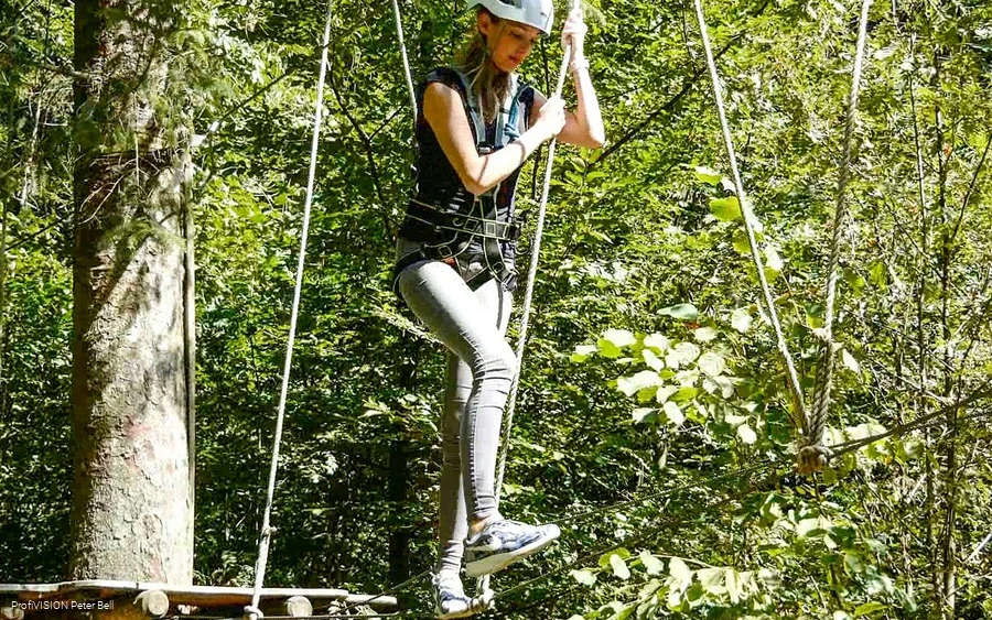 Halver climbing forest