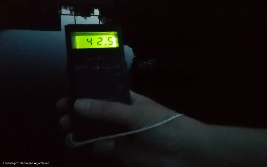 Fledermaussafari Detektor