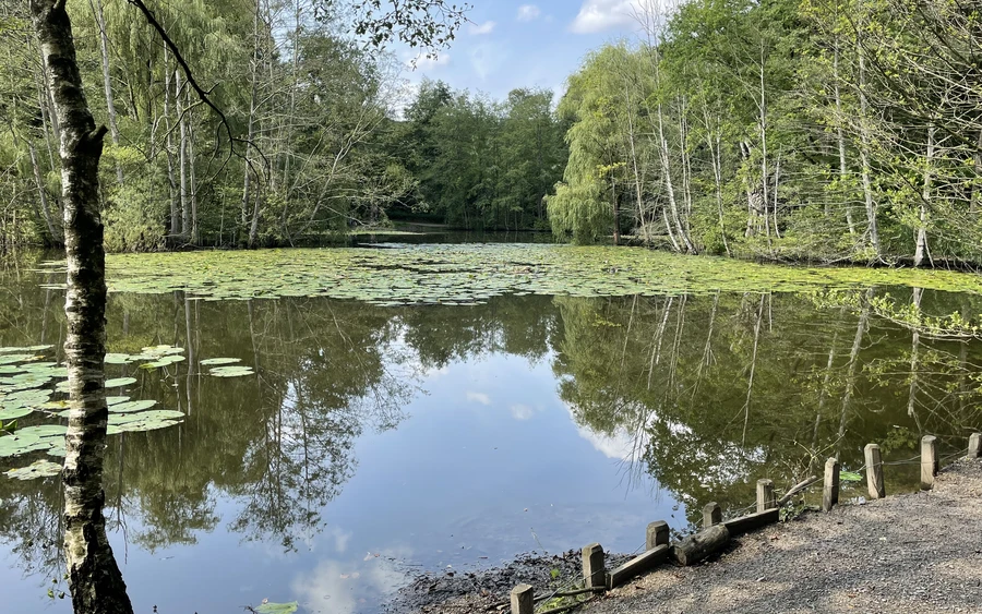 Hexenteich im Frühling