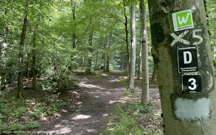 Pfad Nähe Danzturm Iserlohn