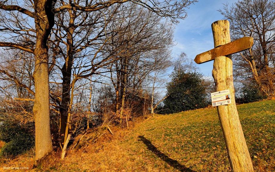 Scheuerpfahl Wegweiser