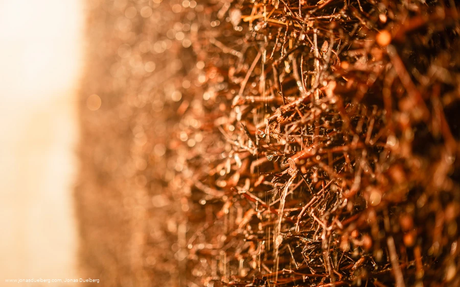 Lagunen-Erlebnisbad Willingen Lagunen-Erlebnisbad Willingen