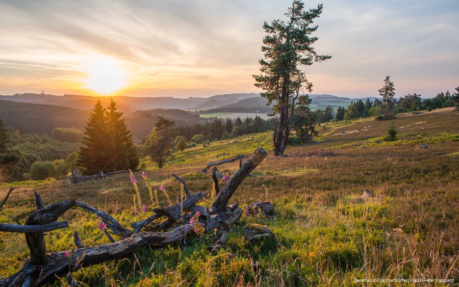 Kahle Pön und weite Landschaft bei Sonnenuntergang.