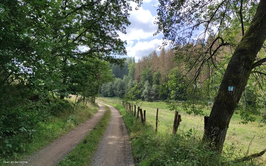 Wegeverlauf des Wanderweges abseits der Talsperre