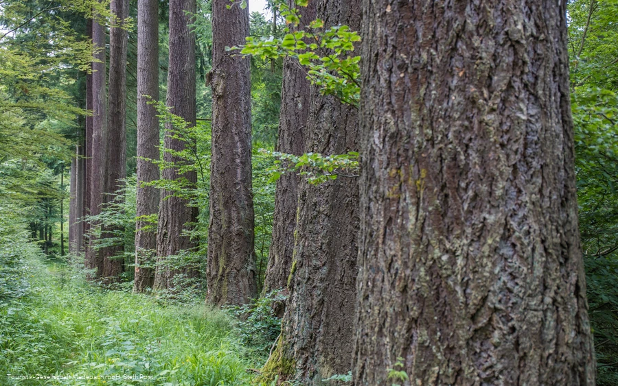 Sauerland-Seelenort Himmelssäulen