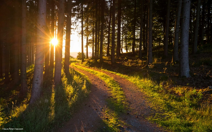 Hiking trails