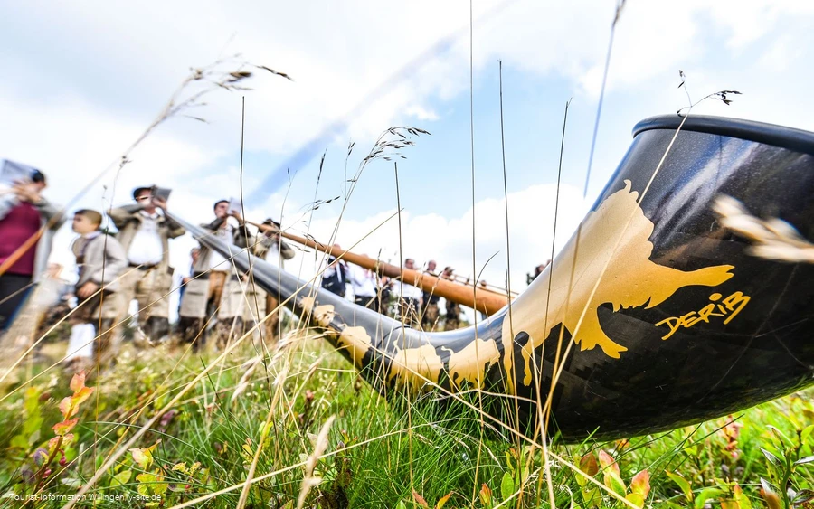 alphornmesse-alphorn c) y-site.jpg