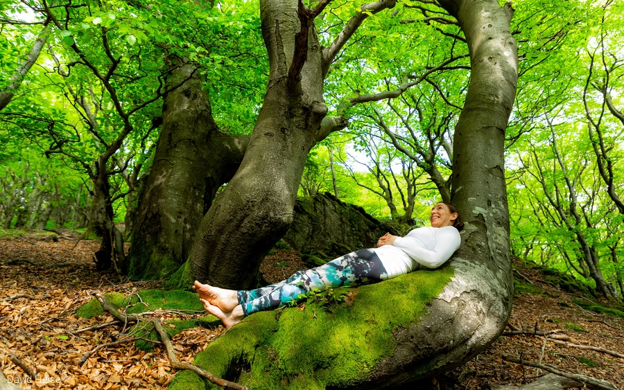 Forest bathing.David.Heise.jpg