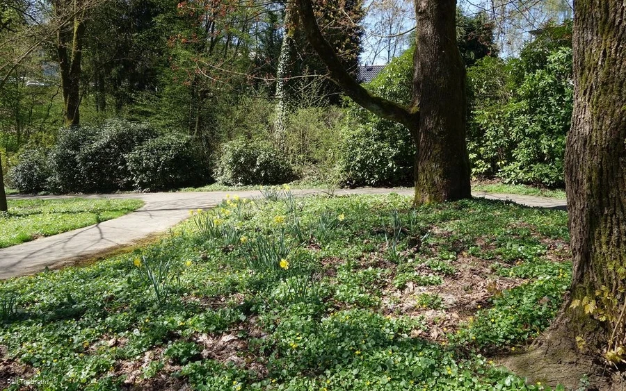 Der Frühling bringt die eine oder andere Blütenpra Der Frühling bringt die eine oder andere Blütenpra