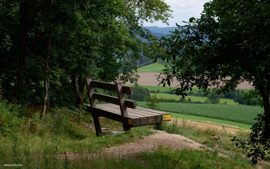 Riesen Bank bei Eversberg 1 © Jessica Rickert.jpg Riesen Bank bei Eversberg 1 © Jessica Rickert.jpg