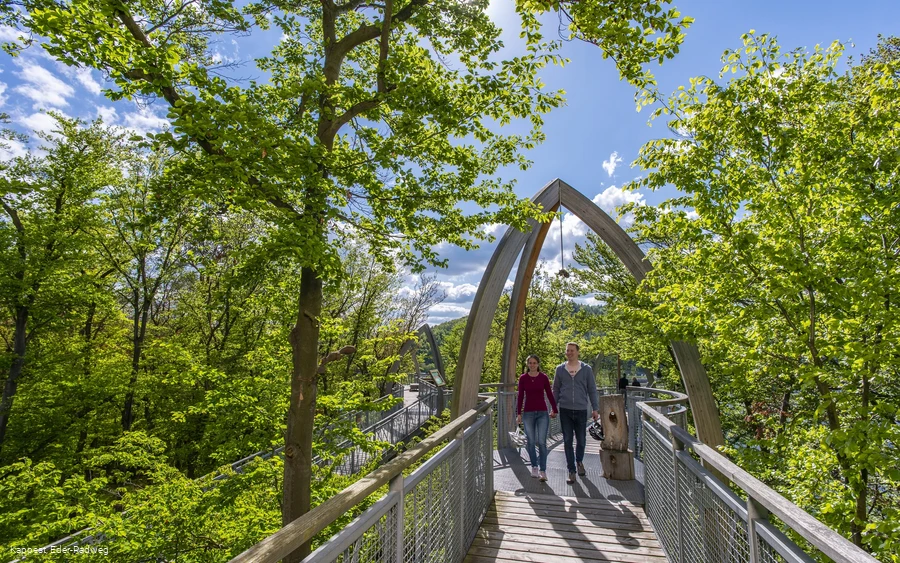 Familienglück am Edersee... Auf dem Baumkronenweg Edersee