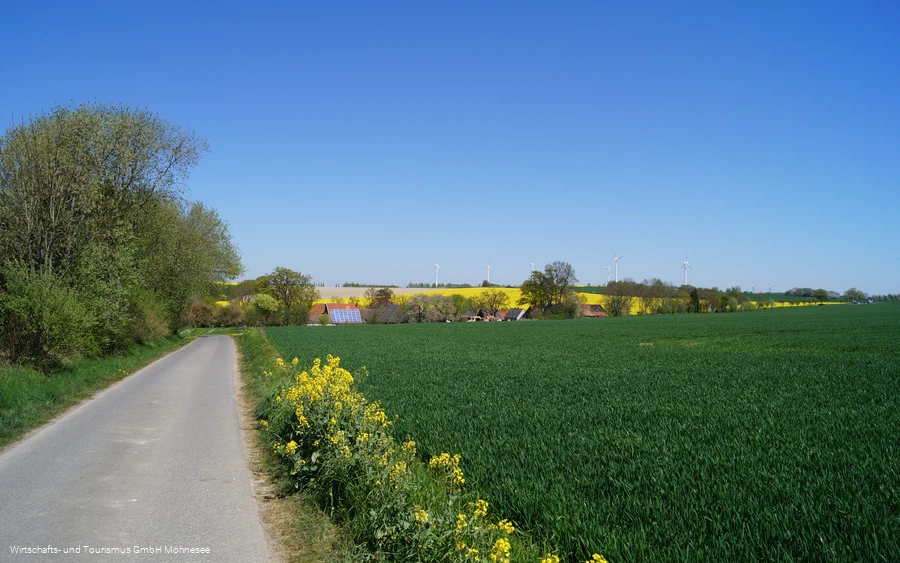 Felder Günne Möhnesee