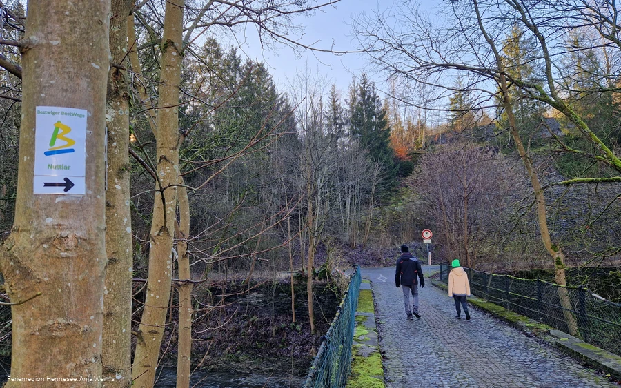 BestWeg Nuttlar