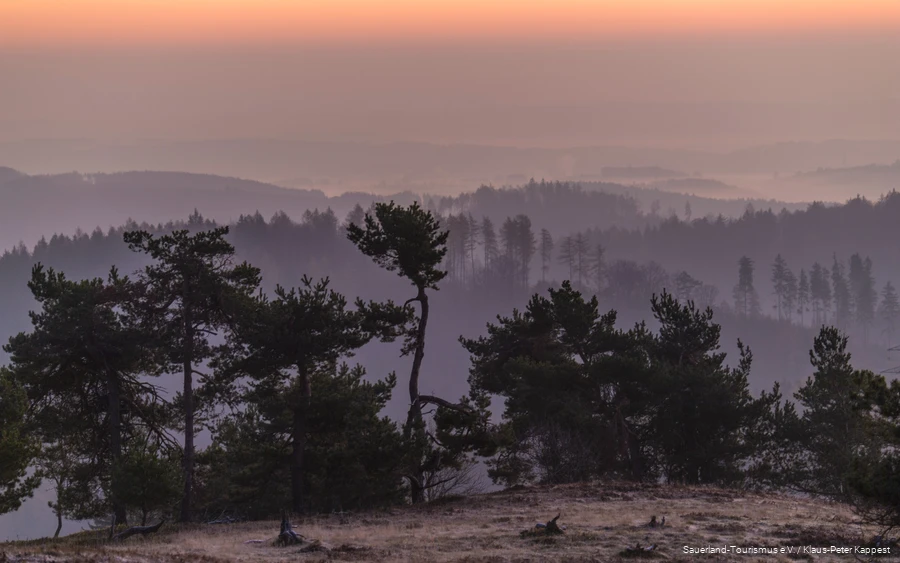 View of the landscape from the Osterkopf near Willingen.