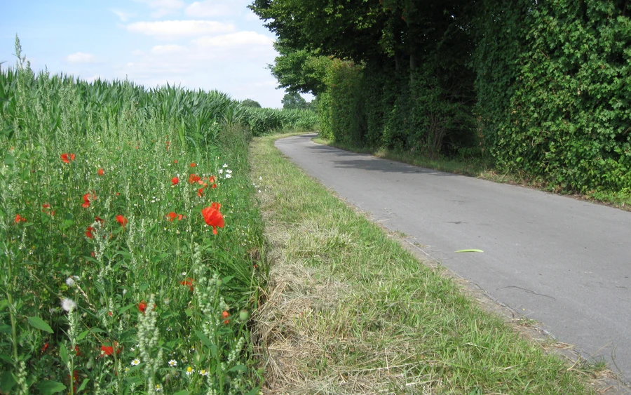 Radweg durch die Mendener Felder