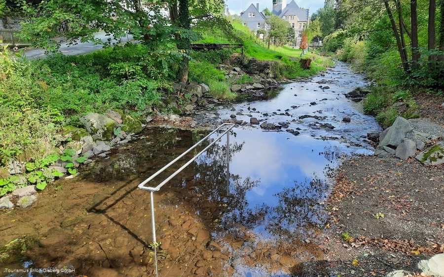 Natürliche Tretstelle Brunskappel