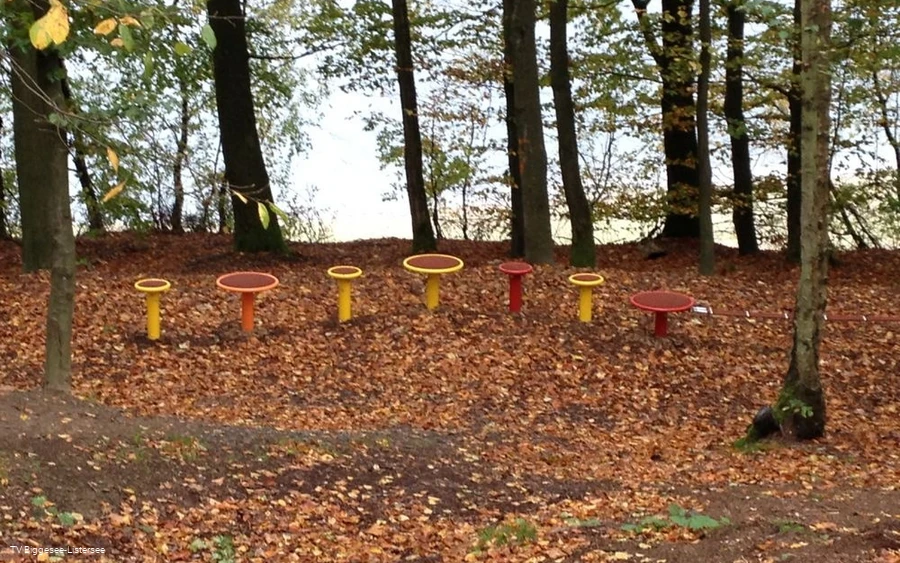 Bewegungsmeile an dem Biggesee 10