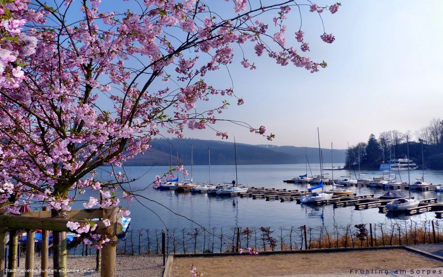 Sorpesee in spring