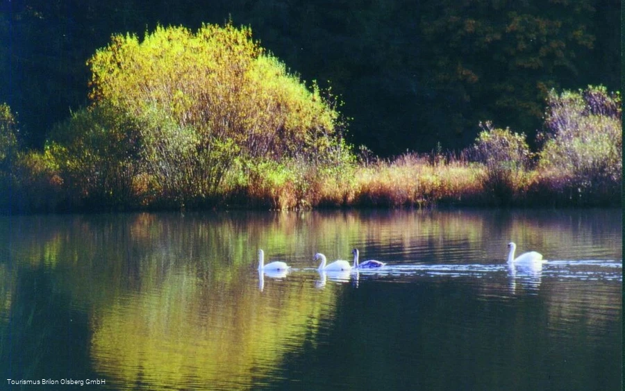 Stausee Stausee