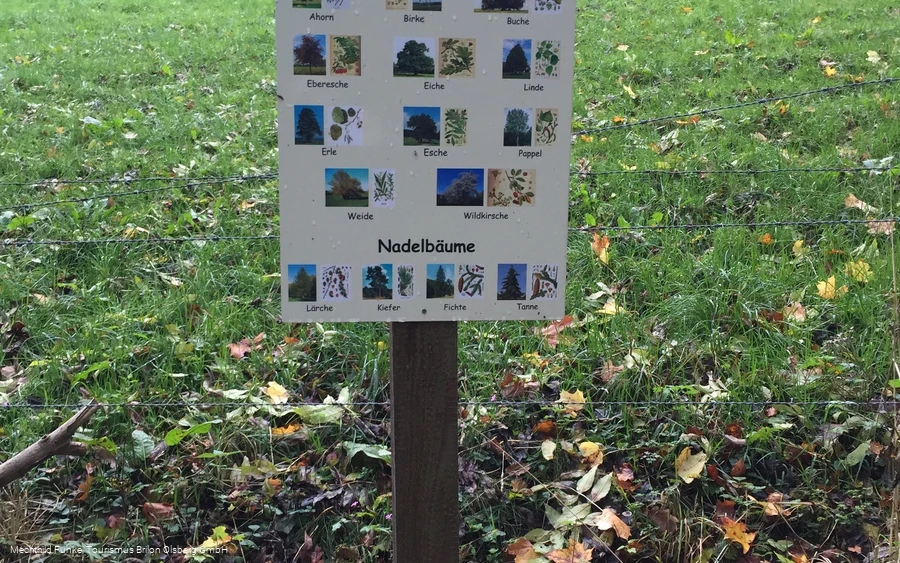 Infotafel