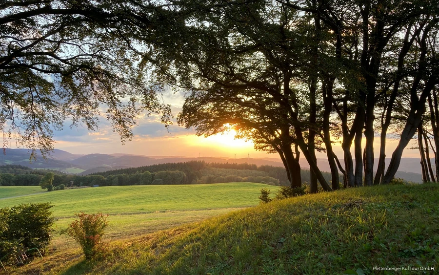 Sonneborn Sundown.jpg