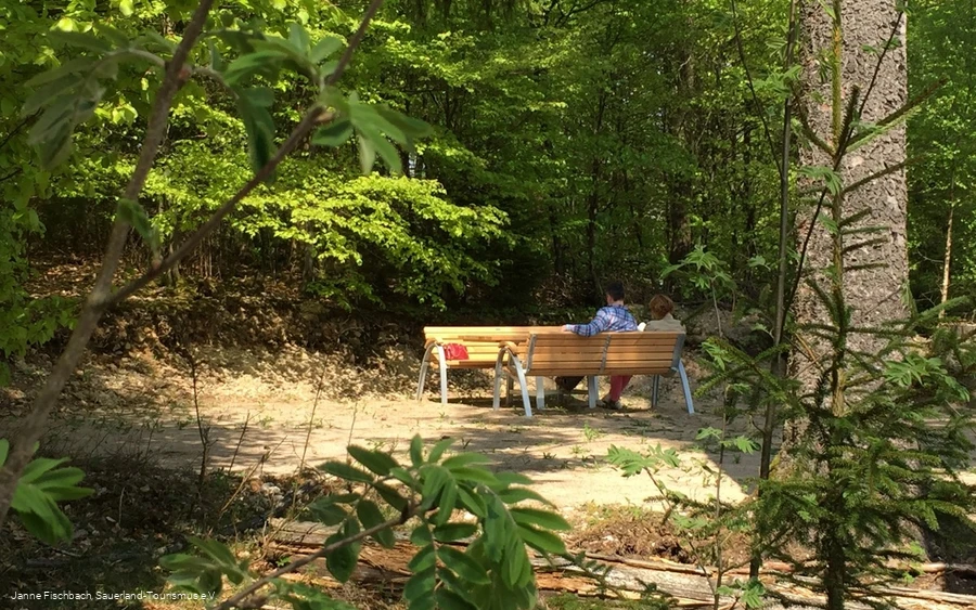 Naturerlebnispfad Hohe Bracht