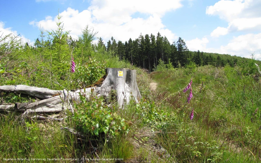 Wegemarkierung Sauerland-Höhenflug