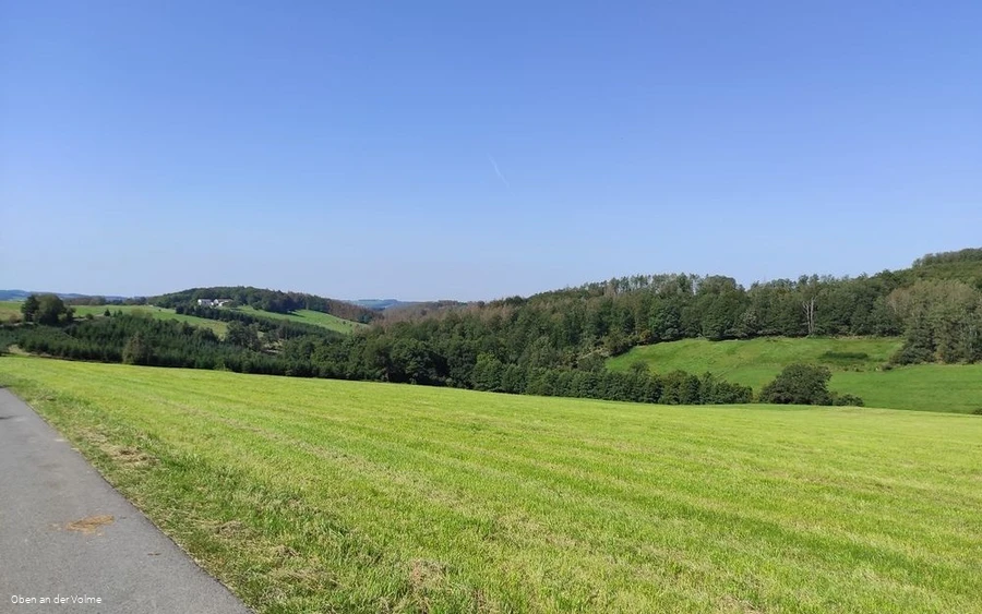 Aussicht von der Bank I