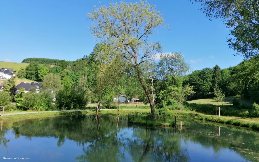 Ruhrmanns Teich