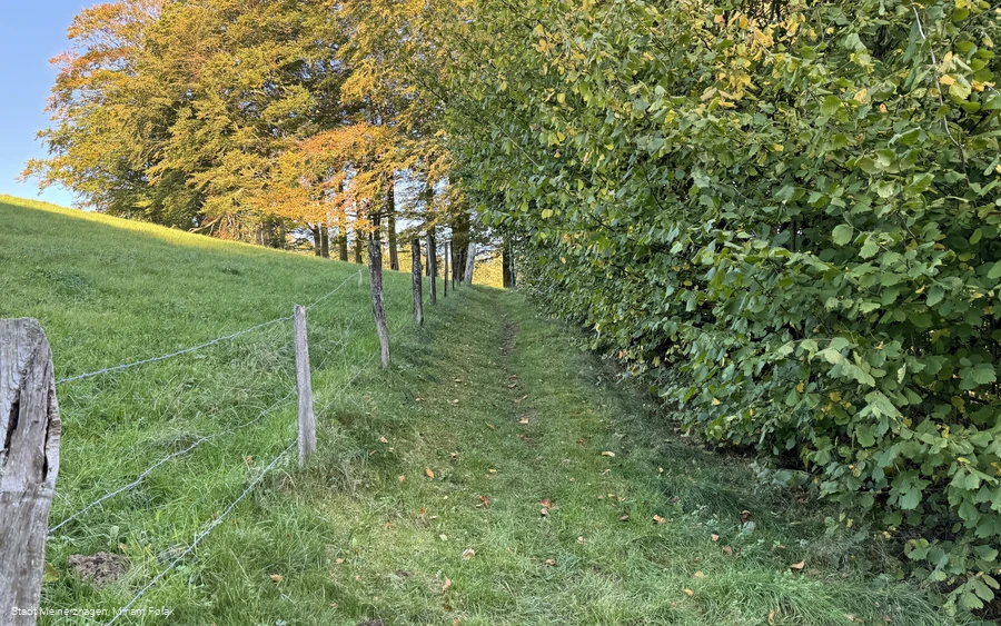 Weg zur Aggerquelle