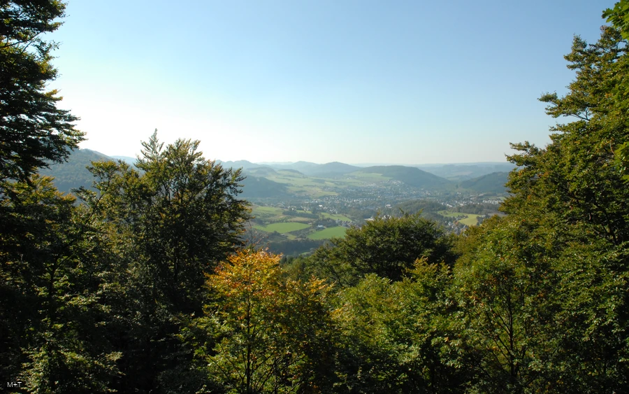 DSC_0212.JPG