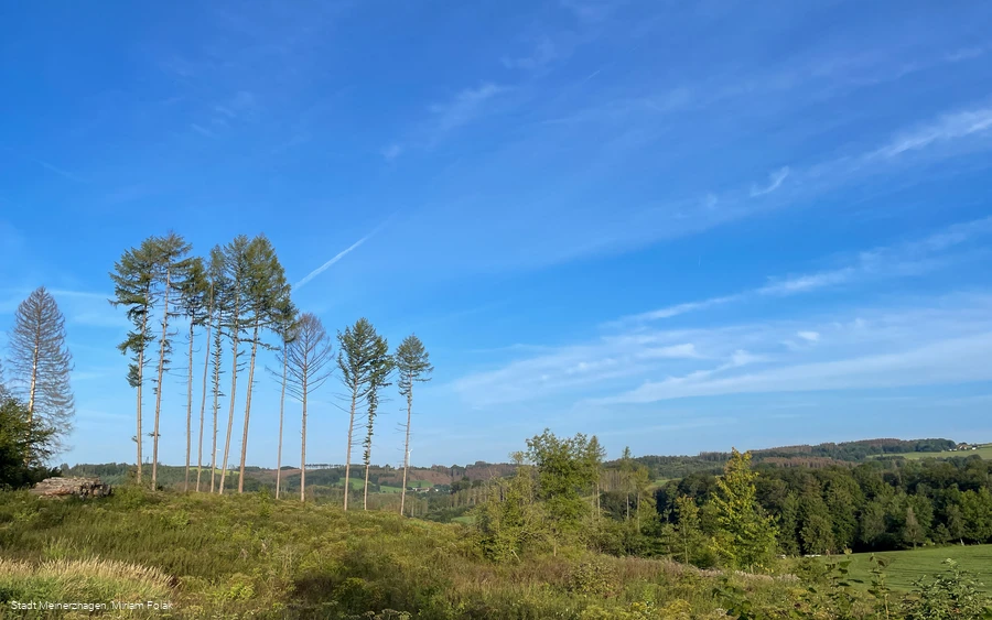 Landschaft an der Hexeneiche
