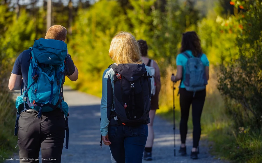 Wandergruppe im Upland