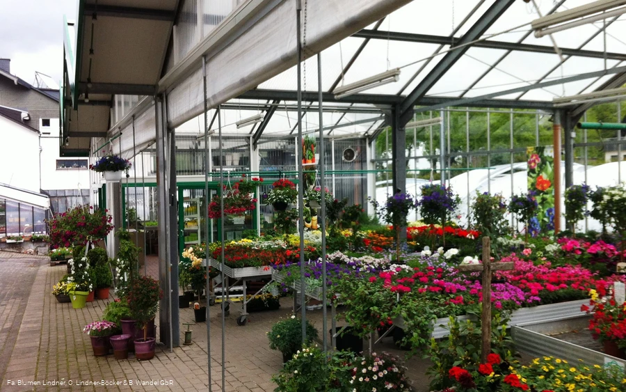 Blumen Lindner (4).jpg