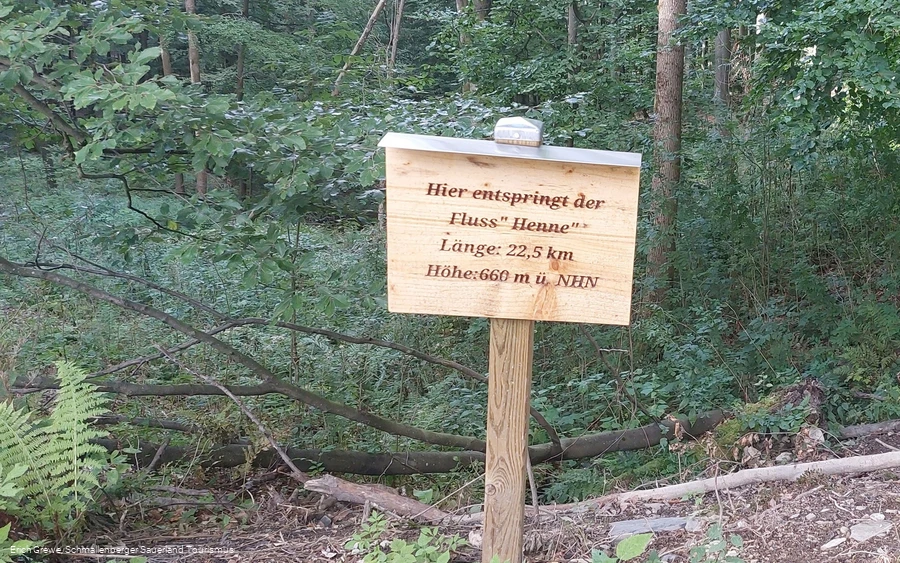 3449754