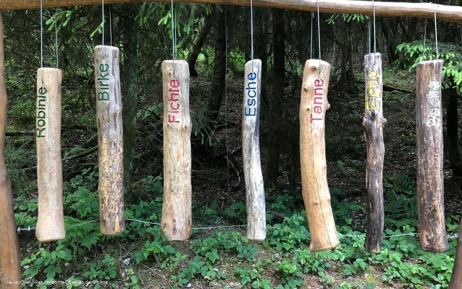 Das Dendrophon Das Dendrophon