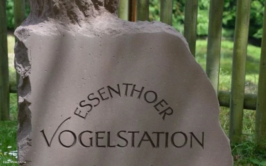 Eingangsstein Essenthoer Mühle