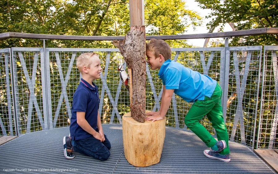 Kinder auf dem Baumkronenweg Kinder auf dem Baumkronenweg