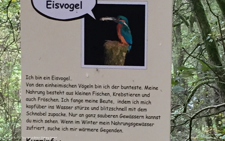 Infos für Kinder