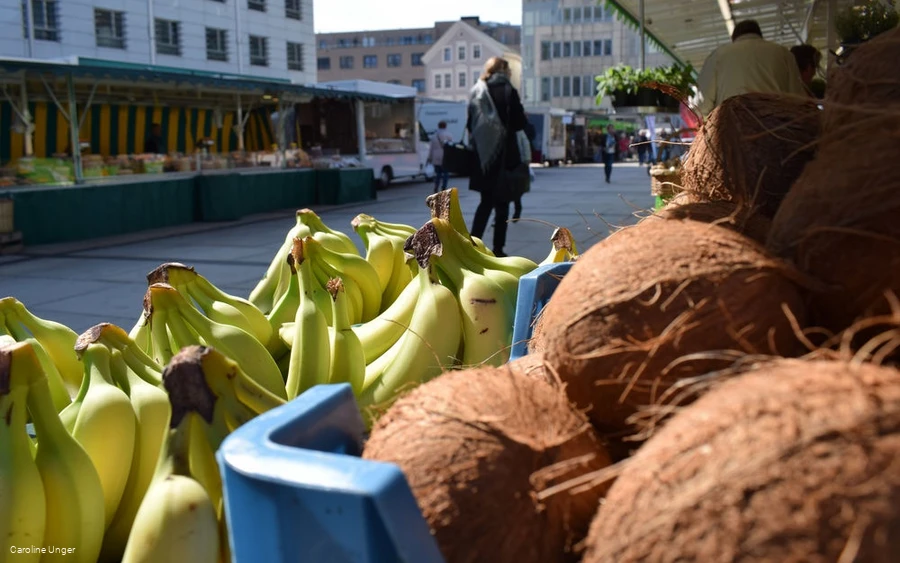 Blick über den Markt Blick über den Markt
