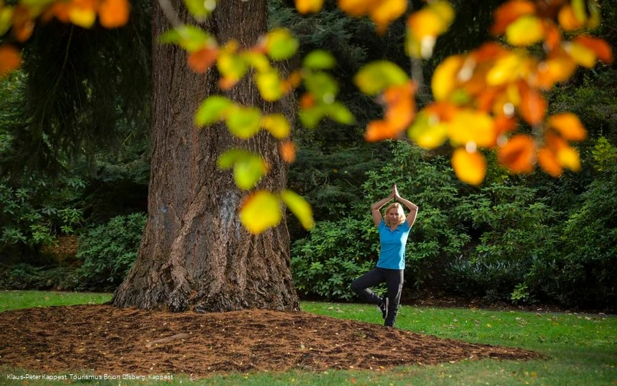 Kneipp-Park Dr. Grüne